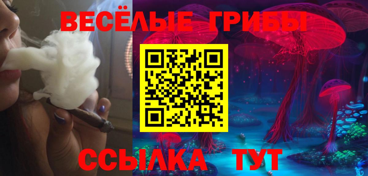 сколько стоит  Вход с VPN  Саянск  Псилоцибиновые грибы Cubensis 